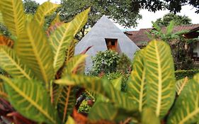 Hosteria Paraiso